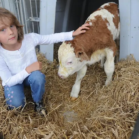 Lägenhet Drexl-hof Schwifting