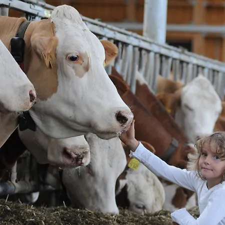 Drexl-hof Lägenhet *